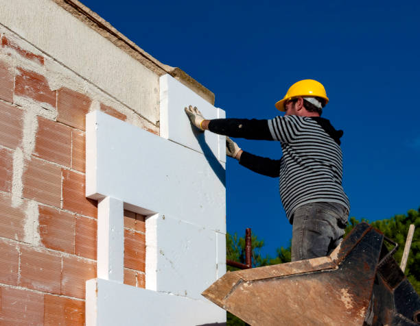 Insulation Replacement Services in Jasmine Estates, FL