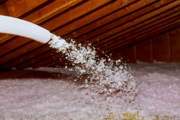 Soundproof Insulation Installation in Jasmine Estates, FL