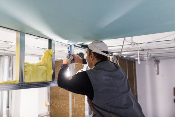 Best Soundproof Insulation Installation  in Jasmine Estates, FL