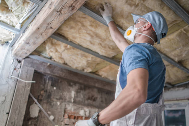 Best Fiberglass Insulation  in Jasmine Estates, FL