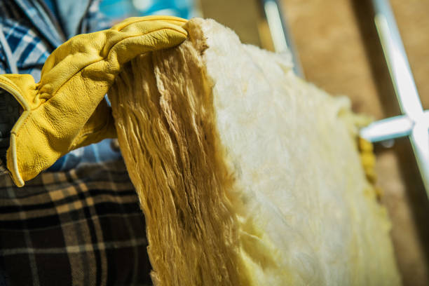 Best Residential Insulation Services  in Jasmine Estates, FL