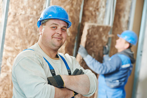 Best Insulation Repair Services  in Jasmine Estates, FL