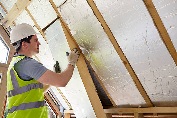 Best Insulation for New Construction  in Jasmine Estates, FL