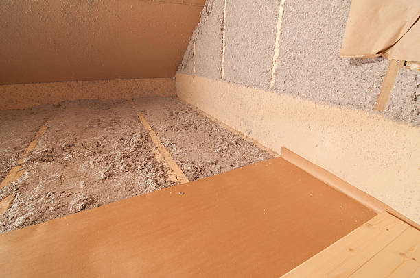 Best Insulation Removal  in Jasmine Estates, FL